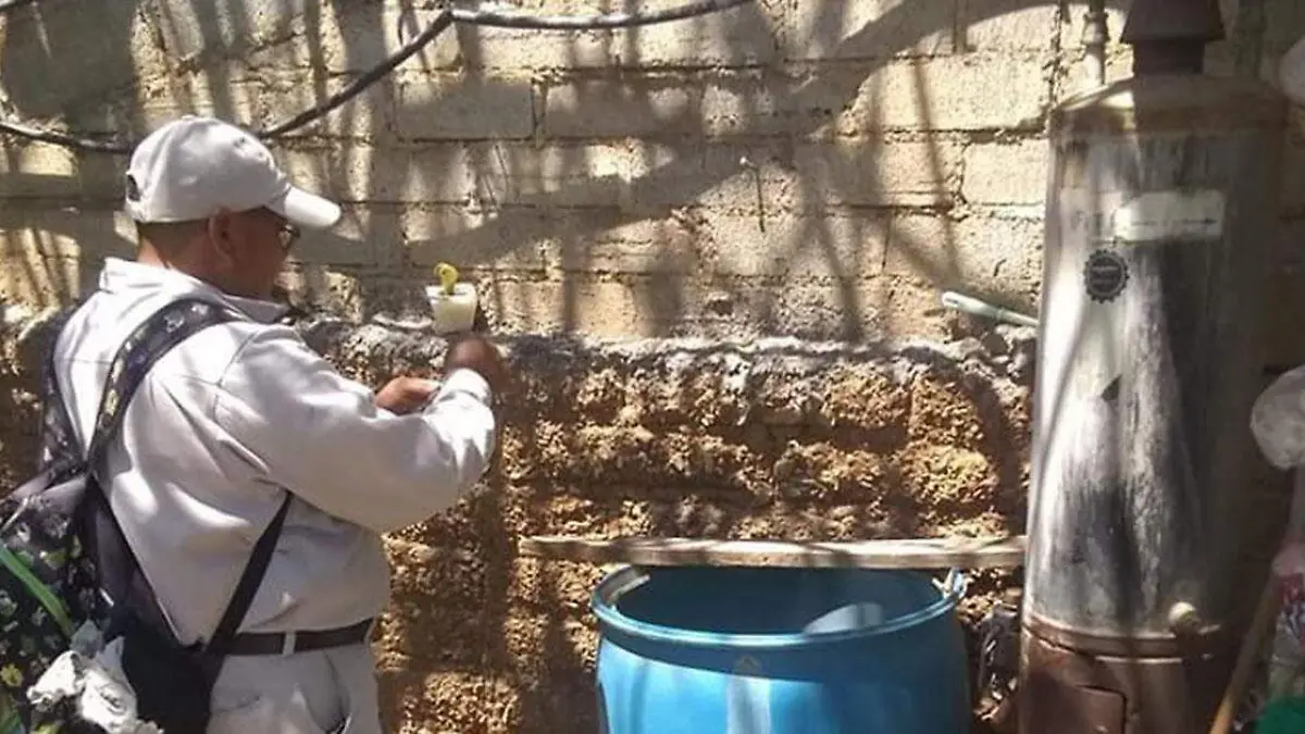 Es Tehuacán uno de los municipios que cada año forma parte de la lista de casos de contagio de dengue